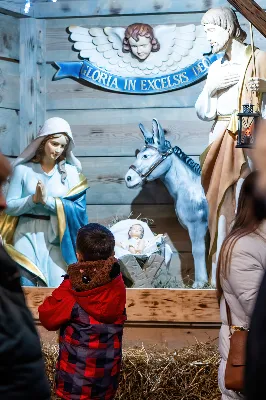 W wigilię uroczystości Bożego Narodzenia w rzeszowskiej katedrze została odprawiona tzw. Msza pasterzy, popularnie zwana „Pasterką”. Uroczystej Eucharystii na rozpoczęcie liturgicznego okresu Bożego Narodzenia przewodniczył bp Jan Wątroba, Pasterz Diecezji Rzeszowskiej. Po procesji wejścia, ks. Krzysztof Gołąbek, proboszcz parafii katedralnej, złożył figurkę Dzieciątka Jezus w symbolicznym żłóbku. Liturgia Słowa podkreślała radość z narodzenia oczekiwanego Mesjasza: „Dziś się narodził Chrystus Pan, Zbawiciel”. Homilię wygłosił bp Jan Wątroba. Na zakończenie uroczystej Eucharystii ks. Krzysztof Gołąbek złożył świąteczne życzenia wszystkim obecnym w katedrze oraz radiosłuchaczom Katolickiego Radia VIA. fot. Joanna Prasoł