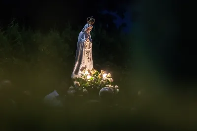 fot. Joanna Prasoł