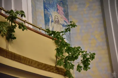 fot. Antoni Ważny