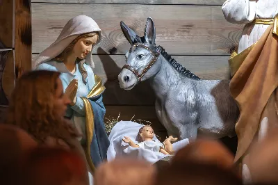 W wigilię uroczystości Bożego Narodzenia w rzeszowskiej katedrze została odprawiona tzw. Msza pasterzy, popularnie zwana „Pasterką”. Uroczystej Eucharystii na rozpoczęcie liturgicznego okresu Bożego Narodzenia przewodniczył bp Jan Wątroba, Pasterz Diecezji Rzeszowskiej. Po procesji wejścia, ks. Krzysztof Gołąbek, proboszcz parafii katedralnej, złożył figurkę Dzieciątka Jezus w symbolicznym żłóbku. Liturgia Słowa podkreślała radość z narodzenia oczekiwanego Mesjasza: „Dziś się narodził Chrystus Pan, Zbawiciel”. Homilię wygłosił bp Jan Wątroba. Na zakończenie uroczystej Eucharystii ks. Krzysztof Gołąbek złożył świąteczne życzenia wszystkim obecnym w katedrze oraz radiosłuchaczom Katolickiego Radia VIA. fot. Joanna Prasoł