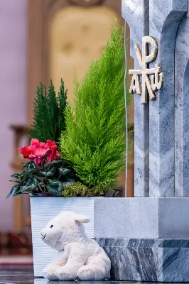 W niedzielę 11 stycznia 2026 r., na zakończenie rodzinnej Mszy Świętej o godz. 12.00, odbyło się uroczyste podsumowanie roku formacyjnego Liturgicznej Służby Ołtarza Katedry Rzeszowskiej.

Statuetkę Złotego Ministranta otrzymali Karol Kowalski oraz Dawid Pruchnicki.
Statuetkę Srebrnego Ministranta otrzymał Piotr Warzybok.
Statuetkę Brązowego Ministranta otrzymał Paweł Górka.

Wszystkim nagrodzonym serdecznie gratulujemy, a pozostałych ministrantów zachęcamy do dalszej, wytrwałej i gorliwej służby przy ołtarzu.

Serdecznie dziękujemy osobom i firmom wspierającym działalność Liturgicznej Służby Ołtarza:
– Państwu Jolancie i Sławomirowi Zawidlakom (Majstal – cięcie laserowe),
– Państwu Sylwii i Łukaszowi Kowalskim (drukowalscy.pl) za przygotowanie projektu i ufundowanie statuetek,
– Państwu Annie i Sławomirowi Wilkom (Matteo Travel – Biuro Podróży) za wsparcie finansowe, które umożliwia ministrantom nieodpłatne korzystanie z hali sportowej.

Wyrażamy wdzięczność wszystkim parafianom, którzy w uroczystość Objawienia Pańskiego zakupili „kadzidło”, wspierając w ten sposób Fundusz Ministrancki.

Dziękujemy przede wszystkim ks. Pawłowi Wójcikowi za codzienną troskę, opiekę i formację Liturgicznej Służby Ołtarza.

Zapraszamy wszystkich chłopców, którzy chcieliby dołączyć do grona Liturgicznej Służby Ołtarza. Służba przy ołtarzu to piękna droga pogłębiania wiary, nauki odpowiedzialności oraz współtworzenia piękna liturgii.

Fot. Joanna Prasoł