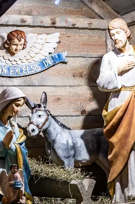 W wigilię uroczystości Bożego Narodzenia w rzeszowskiej katedrze została odprawiona tzw. Msza pasterzy, popularnie zwana „Pasterką”. Uroczystej Eucharystii na rozpoczęcie liturgicznego okresu Bożego Narodzenia przewodniczył bp Jan Wątroba, Pasterz Diecezji Rzeszowskiej. Po procesji wejścia, ks. Krzysztof Gołąbek, proboszcz parafii katedralnej, złożył figurkę Dzieciątka Jezus w symbolicznym żłóbku. Liturgia Słowa podkreślała radość z narodzenia oczekiwanego Mesjasza: „Dziś się narodził Chrystus Pan, Zbawiciel”. Homilię wygłosił bp Jan Wątroba. Na zakończenie uroczystej Eucharystii ks. Krzysztof Gołąbek złożył świąteczne życzenia wszystkim obecnym w katedrze oraz radiosłuchaczom Katolickiego Radia VIA. fot. Joanna Prasoł