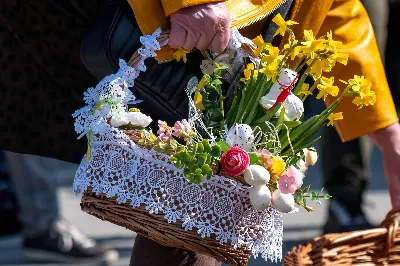 fot. Joanna Prasoł