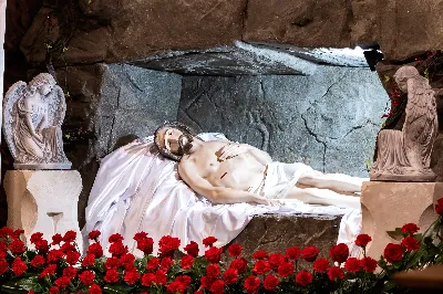fot. Joanna Prasoł