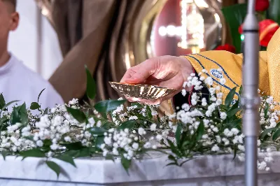 fot. Joanna Prasoł