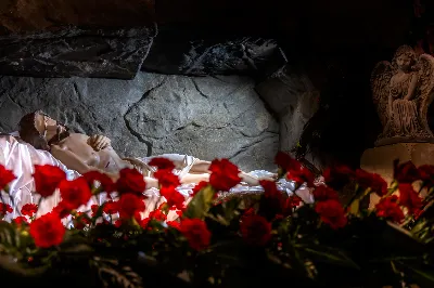 fot. Joanna Prasoł